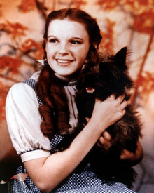 Judy Garland in The Wizard of Oz Poster and Photo