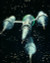 Blakes 7 Poster and Photo
