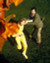 The Day of the Triffids (1981) Poster and Photo