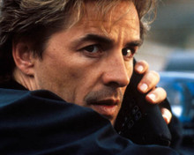 Don Johnson in Dead Bang Poster and Photo