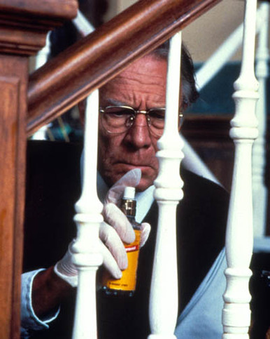 Christopher Plummer in Dolores Claiborne Poster and Photo