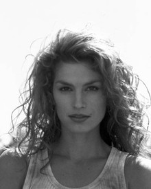 Cindy Crawford in Fair Game Poster and Photo