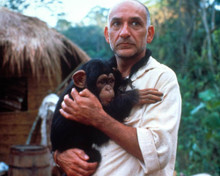 Ben Kingsley in O Quinto Macaco a.k.a. The Fifth Monkey Poster and Photo