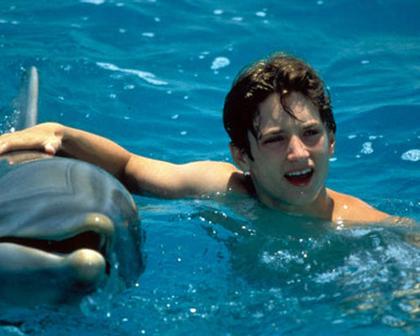 Elijah Wood in Flipper Poster and Photo