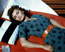 Sophia Loren Poster and Photo