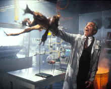 Gremlins 2 : The New Batch Poster and Photo