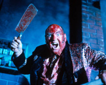 Braindead Poster and Photo