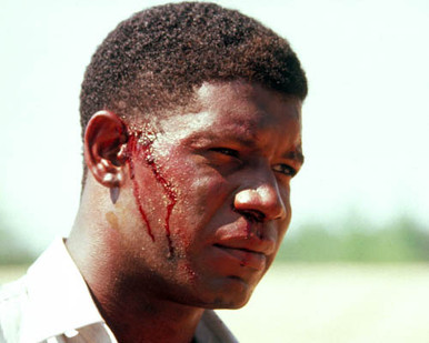 Dennis Haysbert in Love Field Poster and Photo