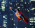 Christopher Reeve in Superman Poster and Photo