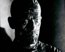 Boris Karloff in The Mummy (1932) Poster and Photo
