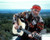 Willie Nelson Poster and Photo