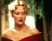 Meryl Streep in Sophie's Choice Poster and Photo