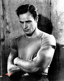 Marlon Brando in A Streetcar Named Desire a.k.a. Un Tramway Nomme Desir Poster and Photo