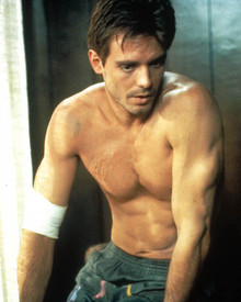 Michael Biehn in The Terminator Poster and Photo