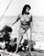Sophia Loren in Boy On a Dolphin Poster and Photo