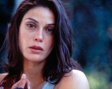 Teri Hatcher Poster and Photo