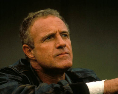 James Caan in Alien Nation Poster and Photo
