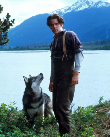 Ethan Hawke in White Fang Poster and Photo