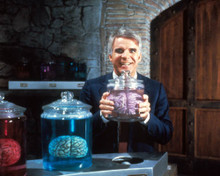 Steve Martin in The Man With Two Brains Poster and Photo