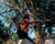 Sylvester Stallone in Rambo: First Blood Part II Poster and Photo