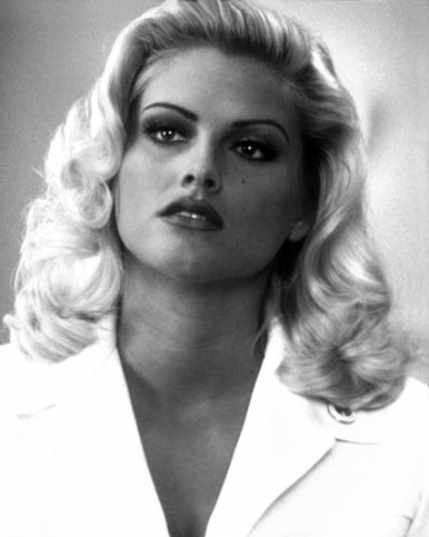 Anna Nicole Smith in Naked Gun 33 1/3 : The Final Insult Poster and Photo