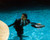 Rowan Atkinson in Never Say Never Again Poster and Photo