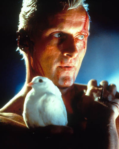 Rutger Hauer in Blade Runner Poster and Photo