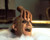 Christopher Lloyd in Addams Family Values Poster and Photo