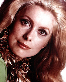 Catherine Deneuve Poster and Photo