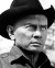 Yul Brynner in Westworld Poster and Photo
