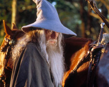 Ian McKellen in The Lord of the Rings:The Fellowship of the Ring a.k.a. Der Herr de ringe Poster and Photo