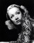 Marlene Dietrich Poster and Photo