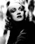 Marlene Dietrich Poster and Photo