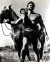 Steve Reeves in Hercules a.k.a. The Labours of Hercules a.k.a. Le fatiche di ercole Poster and Photo