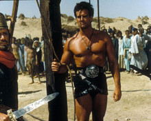 Steve Reeves in The Son of Spartacus a.k.a. Il Figlio di Spartacus a.k.a. Le Fils de Spartacus Poster and Photo