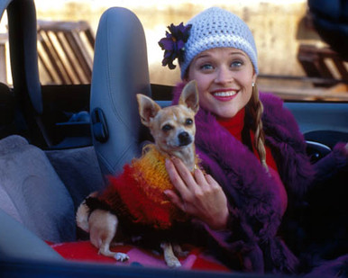 Reese Witherspoon in Legally Blonde Poster and Photo