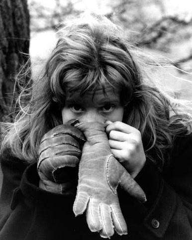 Hayley Mills in Whistle Down the Wind Poster and Photo