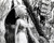 Mitzi Gaynor in South Pacific Poster and Photo