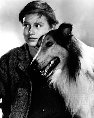 Roddy McDowall & Lassie in Lassie Come Home Poster and Photo