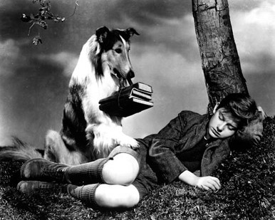 Roddy McDowall & Lassie in Lassie Come Home Poster and Photo