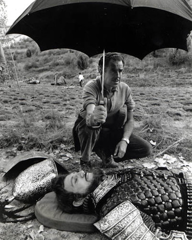 Richard Harris in Camelot Poster and Photo