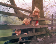 Hayley Mills in Whistle Down the Wind Poster and Photo