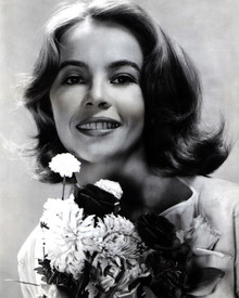 Leslie Caron Poster and Photo