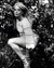 Leslie Caron Poster and Photo