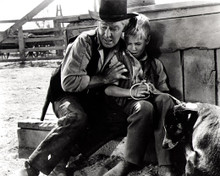 Alan Ladd in The Proud Rebel Poster and Photo