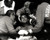 Muhammad Ali Poster and Photo