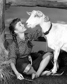 Debbie Reynolds in Tammy and the Bachelor Poster and Photo