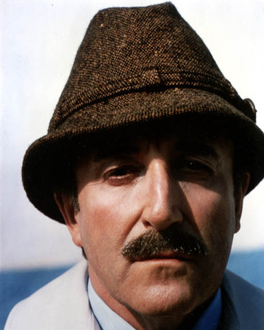 Peter Sellers in Trail of the Pink Panther Poster and Photo