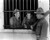 Stan Laurel & Oliver Hardy in Pardon Us (Laurel & Hardy) Poster and Photo