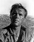 Dirk Bogarde in Ill Met By Moonlight a.k.a. Night Ambush Poster and Photo